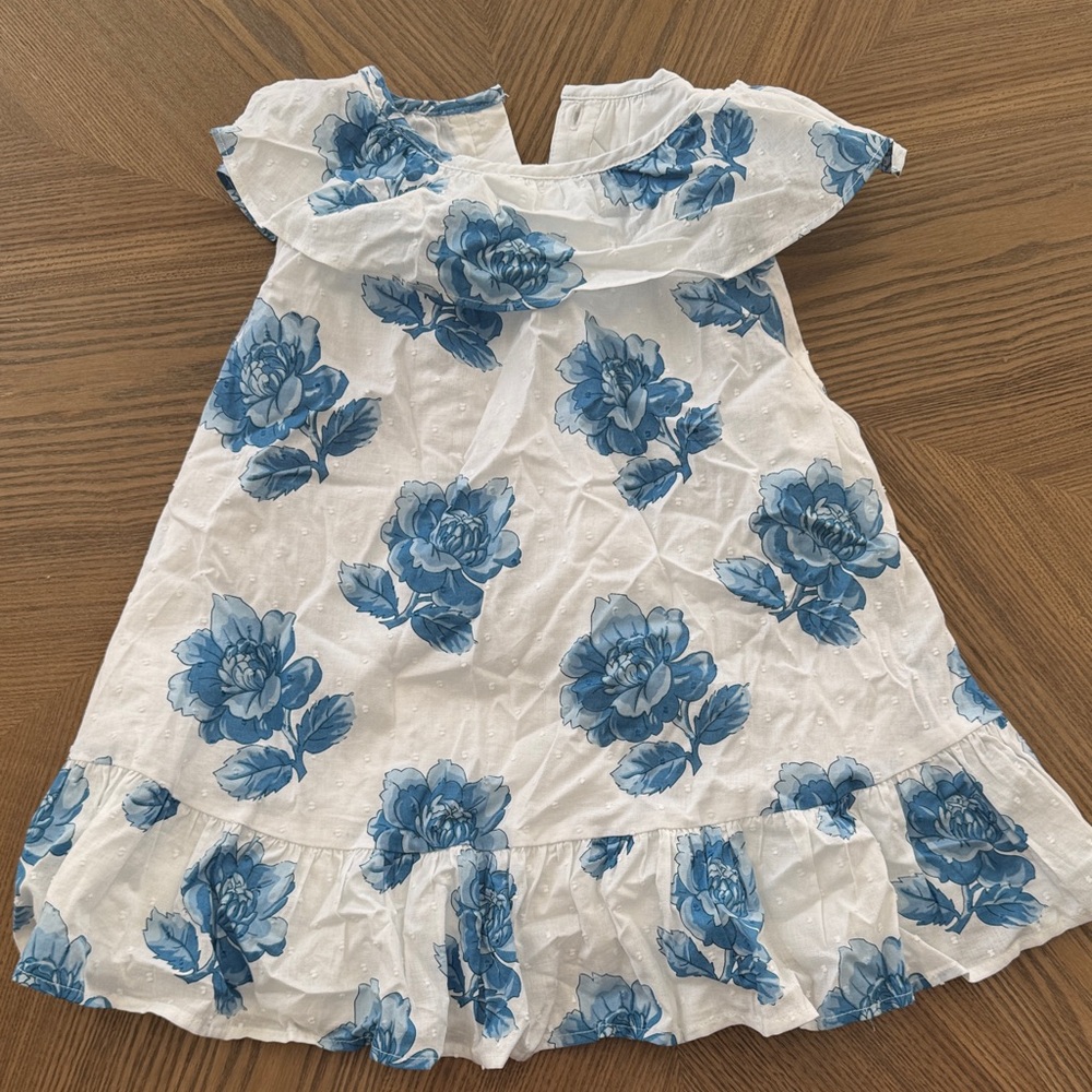 Size 3 Janie and Jack Ruffle Top, Blue Floral Dress